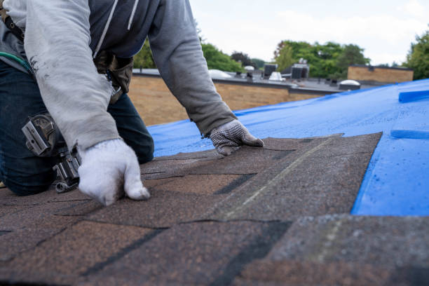 Roof Coating Services in Cedar Hill, MO